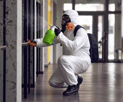 Best Asbestos and Lead Testing During Mold Inspection  in Lansdale, PA